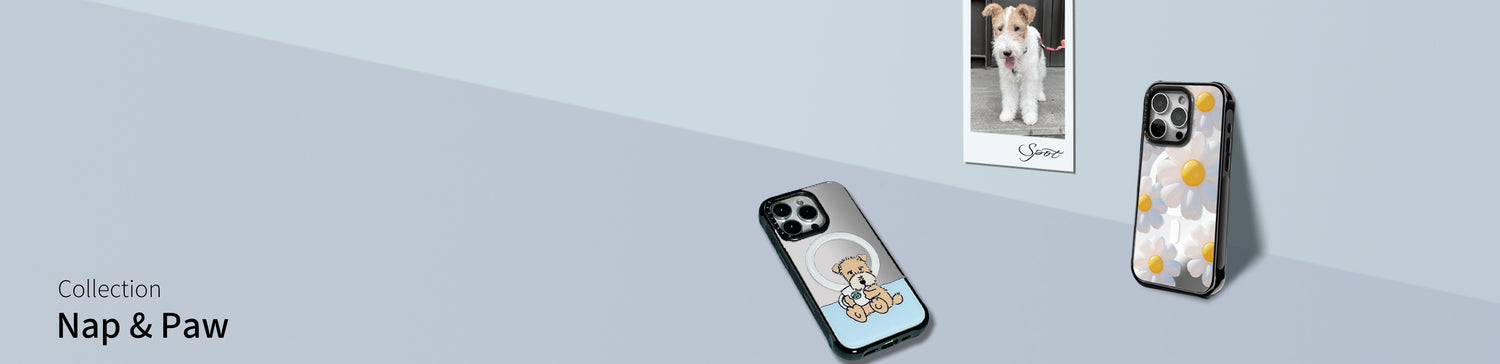 CASECESS