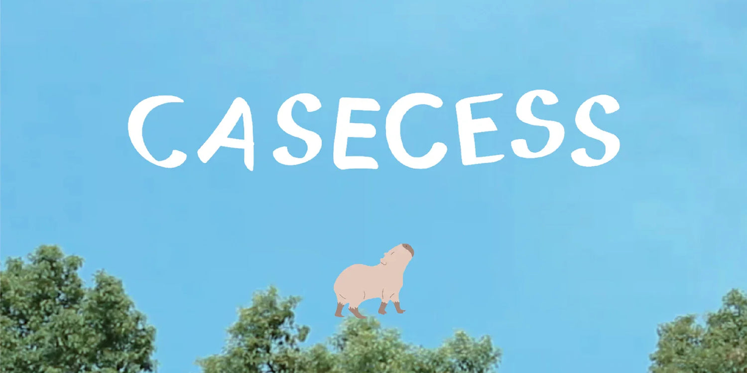 CASECESS