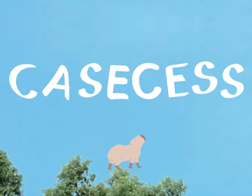Casces Phone Case? Here’s the Correct Brand: Casecess