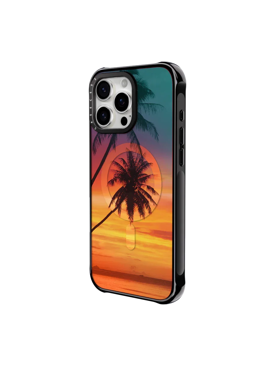 Palm Sunset