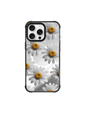 Daisy Pop