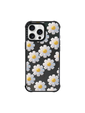 Daisy Delight
