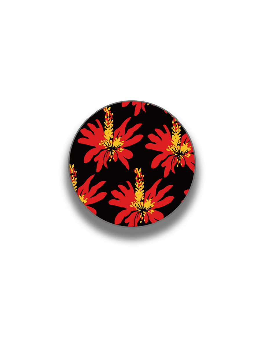 Erythrina Spark
