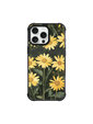 Daisy Sun