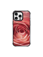 Rose Sunrise