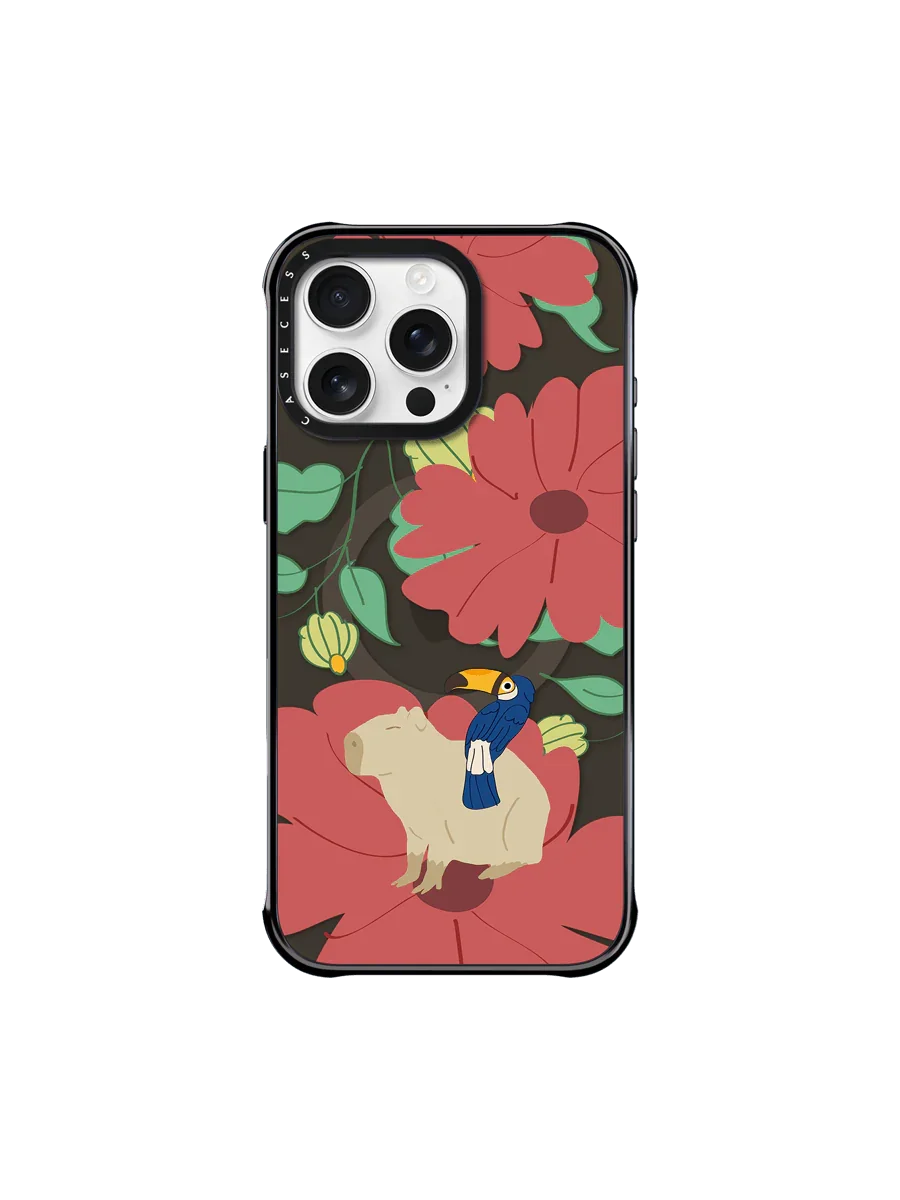Toucan Dream