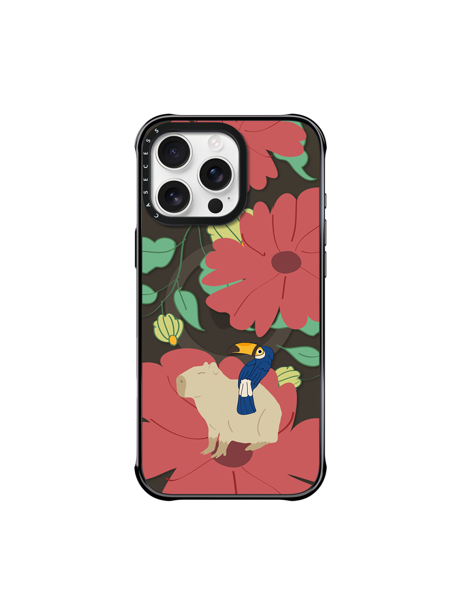 Toucan Dream