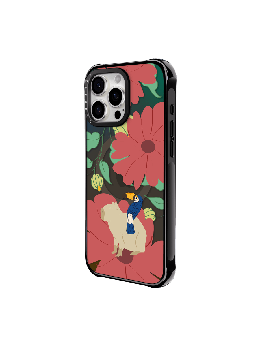 Toucan Dream