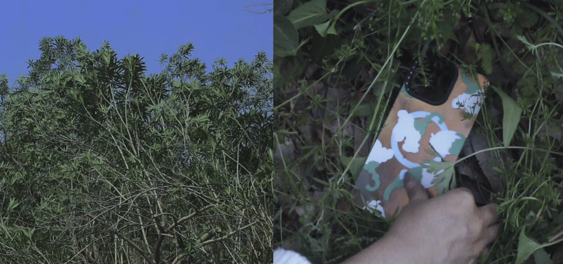 Load video: 